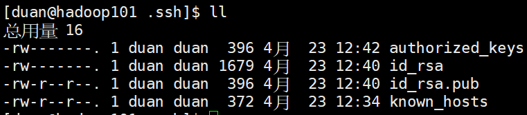 image-20250423124304648.png