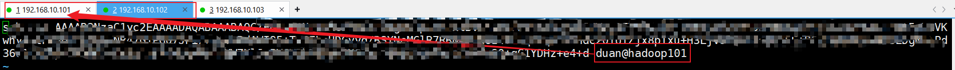 image-20250423124615433.png